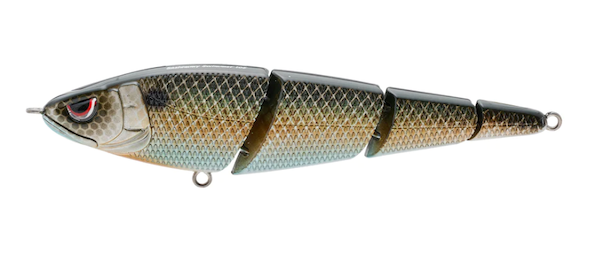SPRO/GAMAKATSU Sashimmy Swimmer 125 Killer Gill