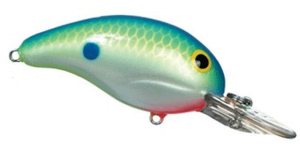BANDIT LURES BANDIT DR 1/4-2" Citrus Shad