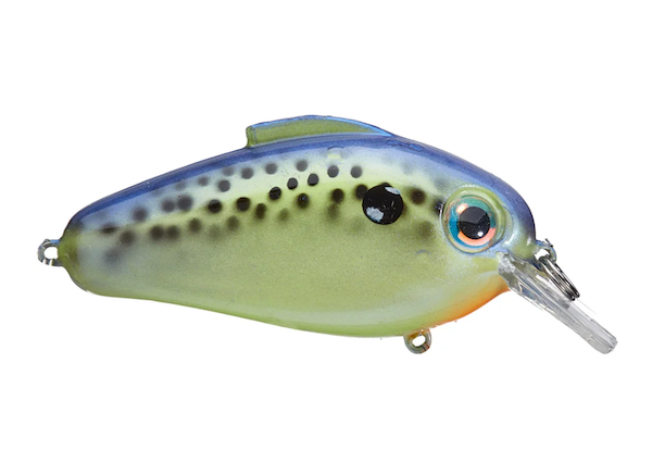 GSM Fishing ECHO 1.75 oz. Cell Mate with 5/8 oz. Capacity