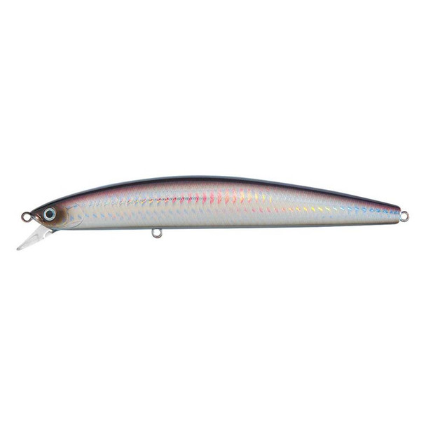 Daiwa Salt Pro Minnow 5-1/8-Inch Floating Lure - Purple Back Silver
