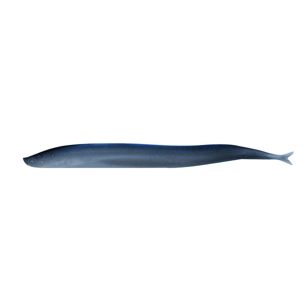 Berkley Gulp! Saltwater Sand Eel - 5 inch Silver Mud Soft Bait for Saltwater Fishing