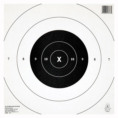 Champion Target Paper Rings, 10.5 x 10.5 Inches, Pack of 12
