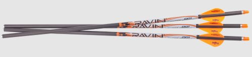 Ravin Crossbows R339 Premium Carbon Arrows for Crossbows