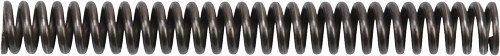 Beretta EU00043 D-Hammer Spring for PX4 Series - Recoil Spring Assembly