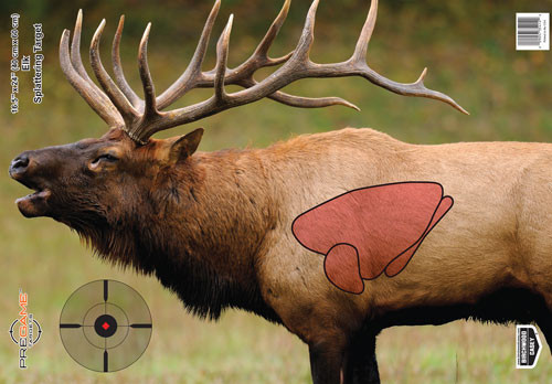 Birchwood Casey Pregame 16.5 x 24 inch Elk Target Set for Shooting Practice