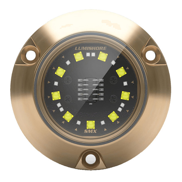 Lumishore ECLIPSE SMX24 Surface Mount Underwater Light with Dual Blue and White LEDs