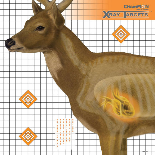 Champion X-Ray Target Deer – 25" x 25" High-Contrast Shooting Practice Targets (6 Pack)