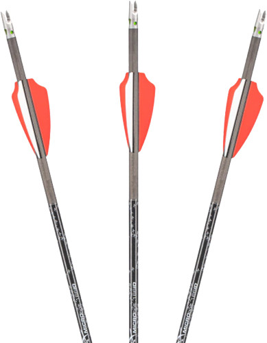 Axe AX10002 Crossbow Micro Bolt .166 inch - High-Speed Carbon Arrow for Precision Shooting