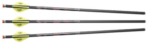 Excalibur Crossbows 22QV16IL-3 Arrow Quill 16.5" Carbon Arrow with Beacom Knocks