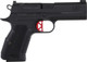 CZ-USA Dan Wesson DWX Compact 9mm Semi-Auto Pistol with 15-Round Magazines