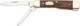 Browning Knife 2025 Mule Deer with Pakkawood Handle and Nickel Silver Accents