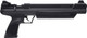 Umarex USA Strike Point .22 Pneumatic Pump Air Rifle