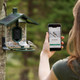 FeatherSnap Scout Birdfeeder - 4MP Solar-Powered Wildlife Camera with AI Bird Identification