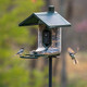 FeatherSnap Scout Birdfeeder - 4MP Solar-Powered Wildlife Camera with AI Bird Identification
