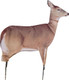 Montana Decoy Company Deer Dreamy Doe - Portable Decoy for Bowhunting and Spot-and-Stalk
