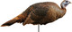Montana Decoy Company M0042 Turkey Spring Decoy – Portable and Lightweight Turkey Decoy