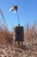 MOJO Outdoors Super Critter with Critter Topper - Predator Lifelike Decoy with Sound and Mounting Options