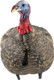 Avian X LCD Quarter Strut Jake Turkey Decoy - Lifesize Synthetic Hunting Decoy