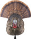 Avian X LCD Strutter Decoy - Lifesize Synthetic Turkey Decoy for Hunting and Wildlife Observation