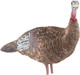 Avian X LCD Lookout Hen Decoy - Lifesize Synthetic Turkey Decoy for Hunting and Wildlife Photography