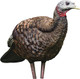Avian X LCD Breeder Hen Decoy - Lifesize Synthetic Turkey Decoy for Hunting