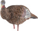 Avian X LCD Breeder Hen Decoy - Lifesize Synthetic Turkey Decoy for Hunting