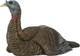 Avian X LCD Laydown Hen Decoy - Lifesize Synthetic Turkey Hunting Decoy