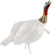 Avian X HDR Jake Decoy - LifeSize Synthetic Turkey Decoy with Removable Heads