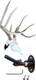 Mountain Mike's MMRUP Ultra Adjustable Wall Mount for Deer and Game Skulls