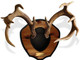 Mountain Mike's MMRPM Deer Antler Cover with Plaque - Classic Woodgrain Finish