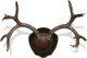 Mountain Mike's MMRRP Deer Antler Wall Mount Kit with Distressed Leatherette Skull Plate Cover