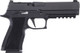 SIG P320 XTEN 10mm Auto 5-inch Semi-Auto Pistol with Night Sights