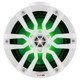 DS18 Hydro 6.5-Inch Compact Wakeboard Pod Tower with RGB Light - 300W - White
