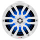 DS18 Hydro 6.5-Inch Compact Wakeboard Pod Tower with RGB Light - 300W - White