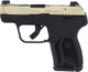 Ruger LCP Max .380 ACP Semi-Auto Pistol with Night Sights and Polymer Frame