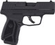 Ruger Max-9 9mm Semi-Auto Pistol with 12-Round Magazines and Adjustable Sights