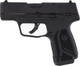 Ruger Max-9 9mm Semi-Auto Pistol with 12-Round Magazines and Adjustable Sights