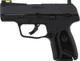 Ruger Max-9 9mm Day/Night Pistol with Tritium Fiber Optic Sights and 10-Round Magazines