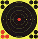 Birchwood Casey Shoot-N-C 8-Inch Target Pack with 120 Pastes