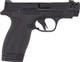 Smith & Wesson Bodyguard PC Carry Compact .380 Auto with Night Sights and 12-Round Magazines