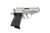 PPK 32ACP SS 3.3" 6+132 ACP