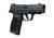 Sig Sauer P365XL Comp .380 ACP, 3.1" Barrel, 12+1, Black Polymer / Nitron