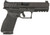 Springfield Armory Echelon 9mm Luger, 4.5" Barrel, 17+1, Black Melonite 