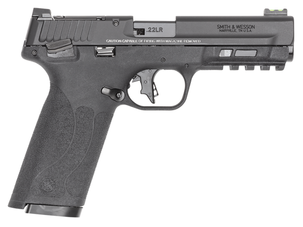 Smith & Wesson 14313 M&P 22x 22 LR 10+1 4.10"