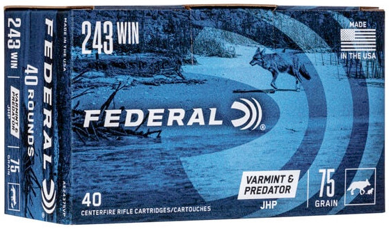 FED AMERICAN EAGLE V&P 243WIN 75GR JHP 40/5