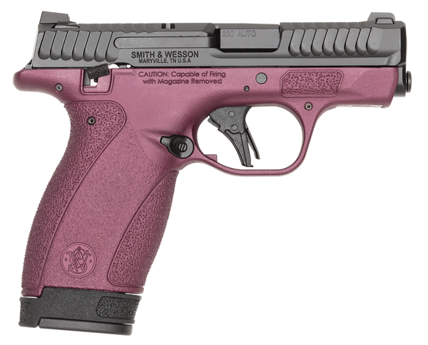 S&W BODYGRD 2.0    14661 380      TS H-319 BCF