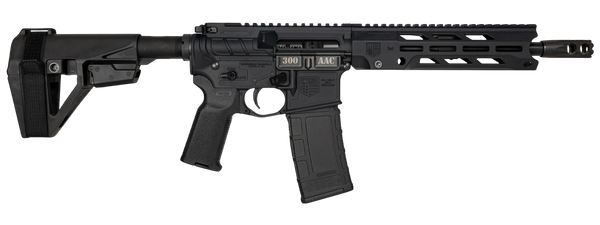 DIA DB1984B001  300BO DB15 10       30R*BRACE* BLK
