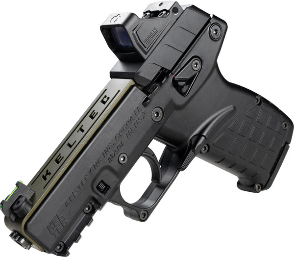 P17 22LR 16+1 GRN TB PKG22 LR