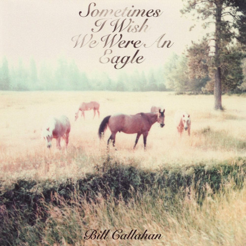 BILL CALLAHAN - Sometimes I Wish We Were An Eagle LP
