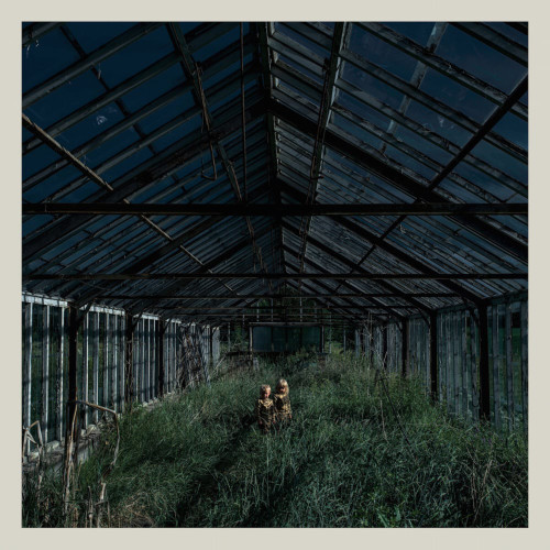 FOXING - Dealer LP